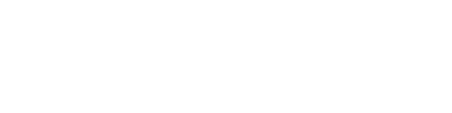 DDV Consulting Logo